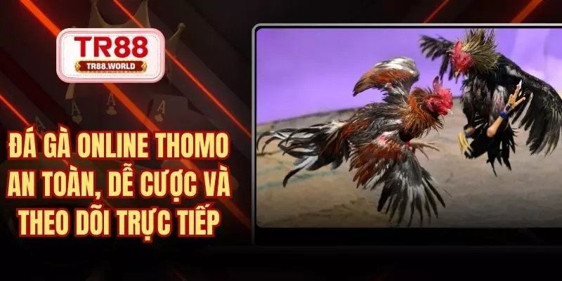 đá gà online thomo